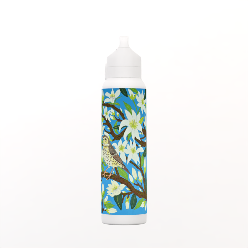 Song Thrush in Magnolia hot/cold Insulated Akaw Bottle