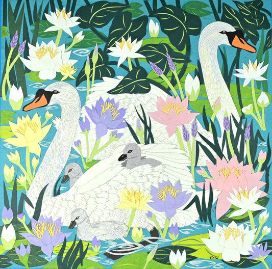 Fine Art Giclée Print - Cygnet's First Swim - The Waterlilies Collection
