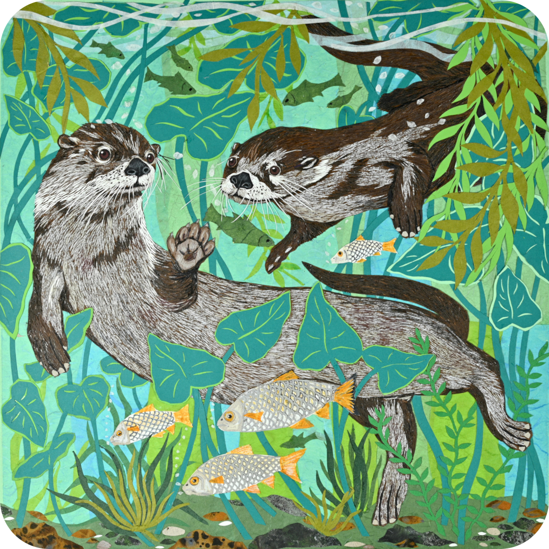 Deep Diving Otters Coaster
