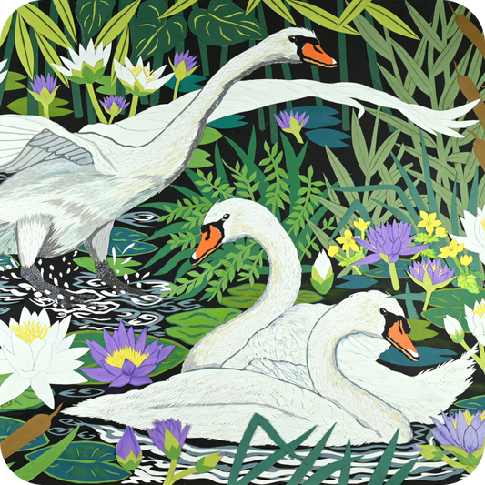 Gliding Swans Coaster