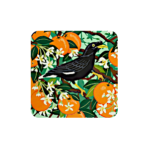 Mynah Birds with Orange Blossom Coaster