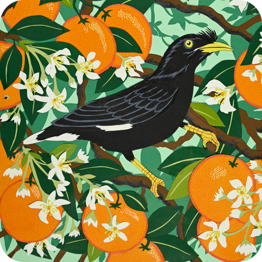 Mynah Birds with Orange Blossom Coaster
