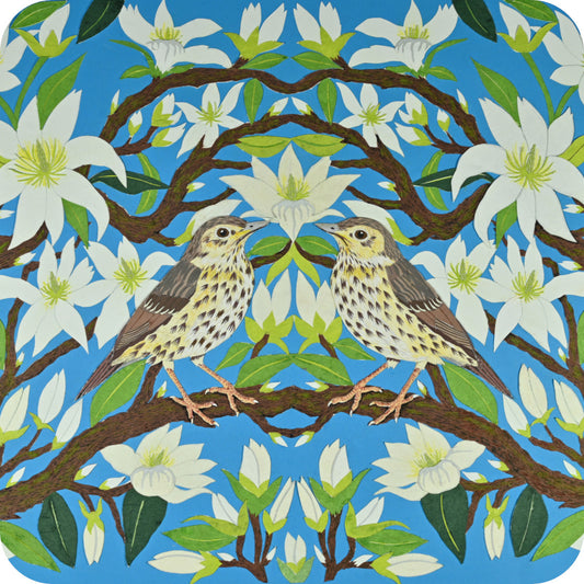 Song Thrush on Magnolia Coasters