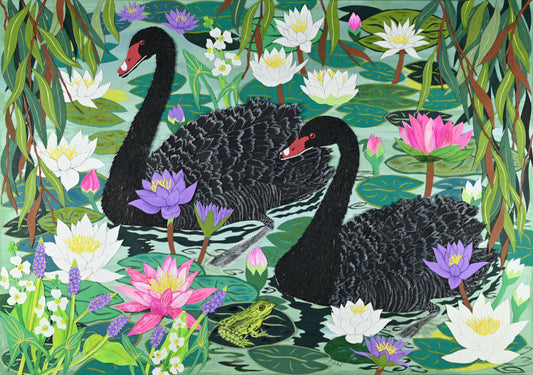 Fine Art Giclée Print - Water Lilies - Black Swans on Lily Pond